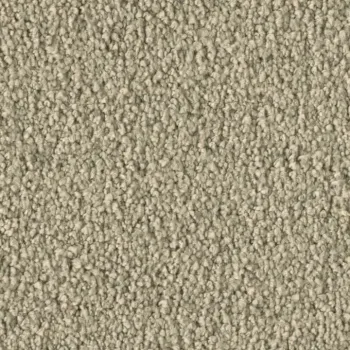 Preview: Vorwerk Violetta 8L44 – Draufsicht Teppichboden Farbe 8L44 ohne Badge